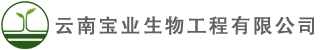 寶業(yè)生物
